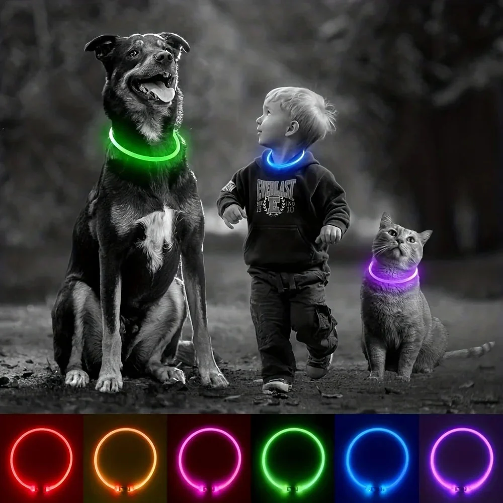 Collier Lumineux et Rechargeable pour Chien – Image 9