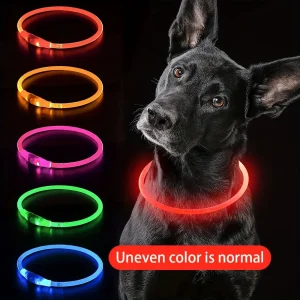 Collier Lumineux et Rechargeable pour Chien