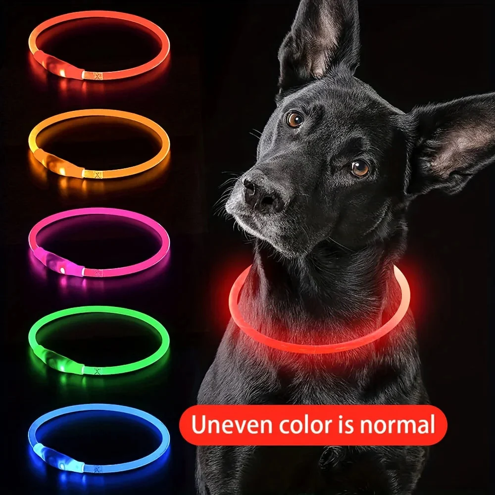 Collier Lumineux et Rechargeable pour Chien – Image 2