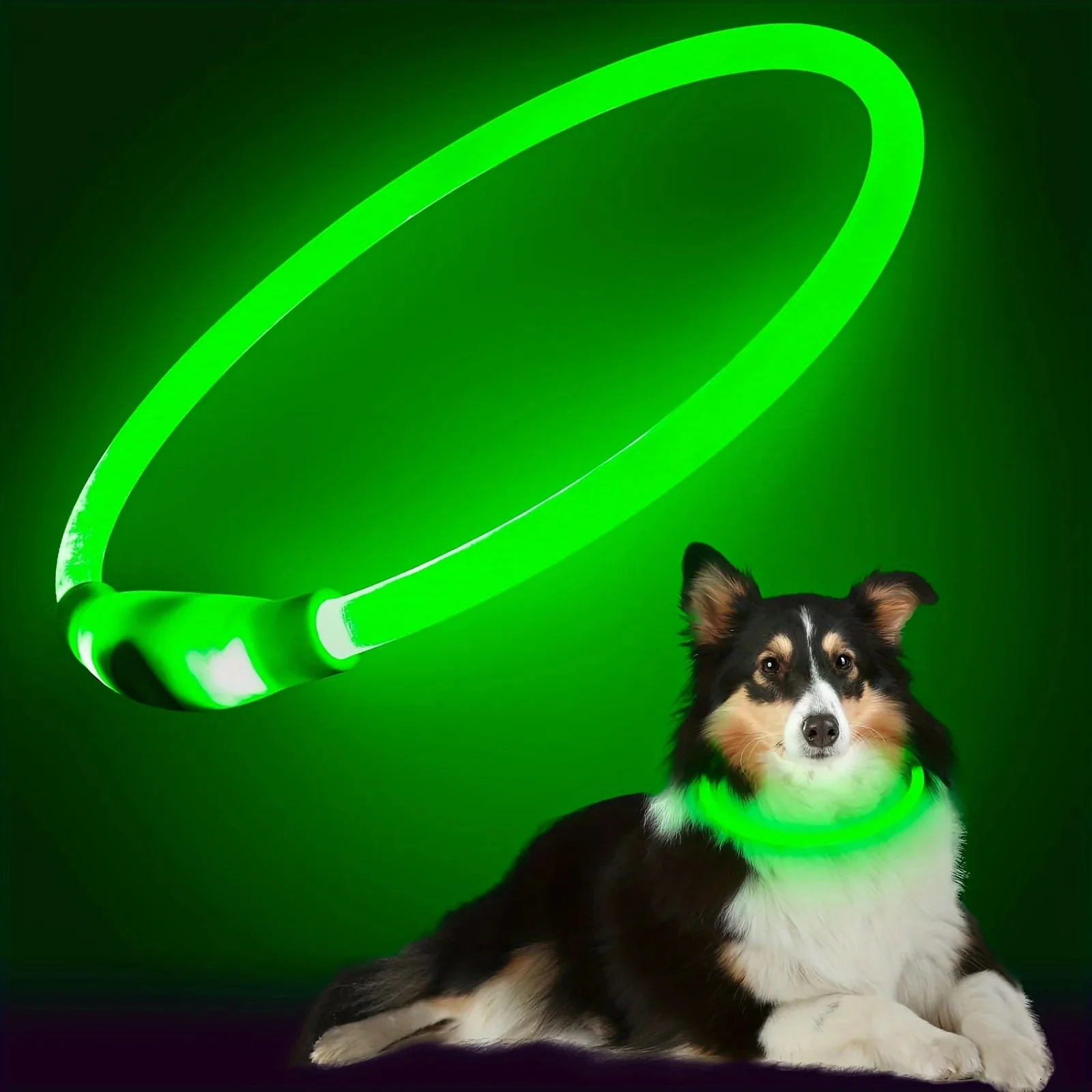 Collier Lumineux et Rechargeable pour Chien – Image 7