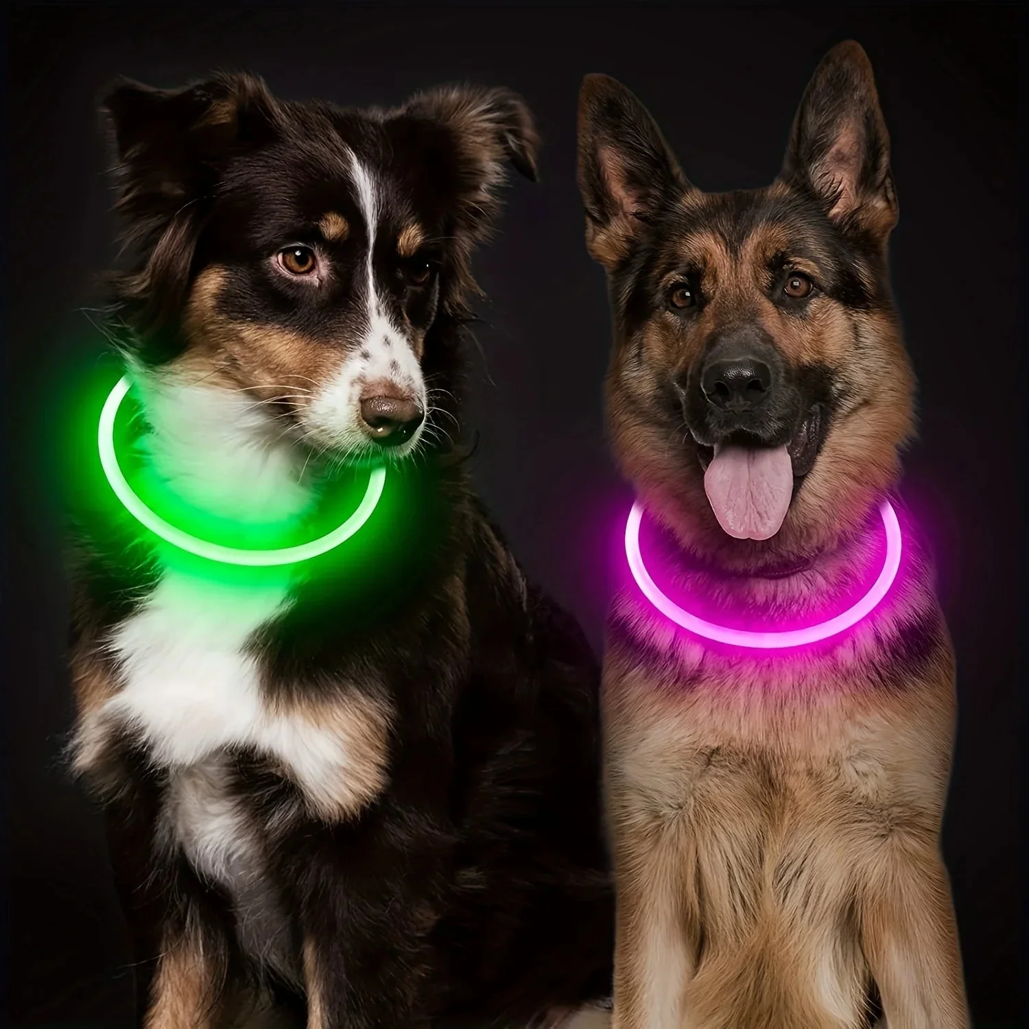 Collier Lumineux et Rechargeable pour Chien – Image 6