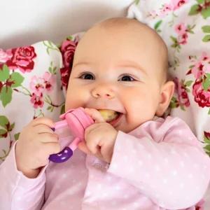 Grignoteuse bebe | Éveil Gustatif